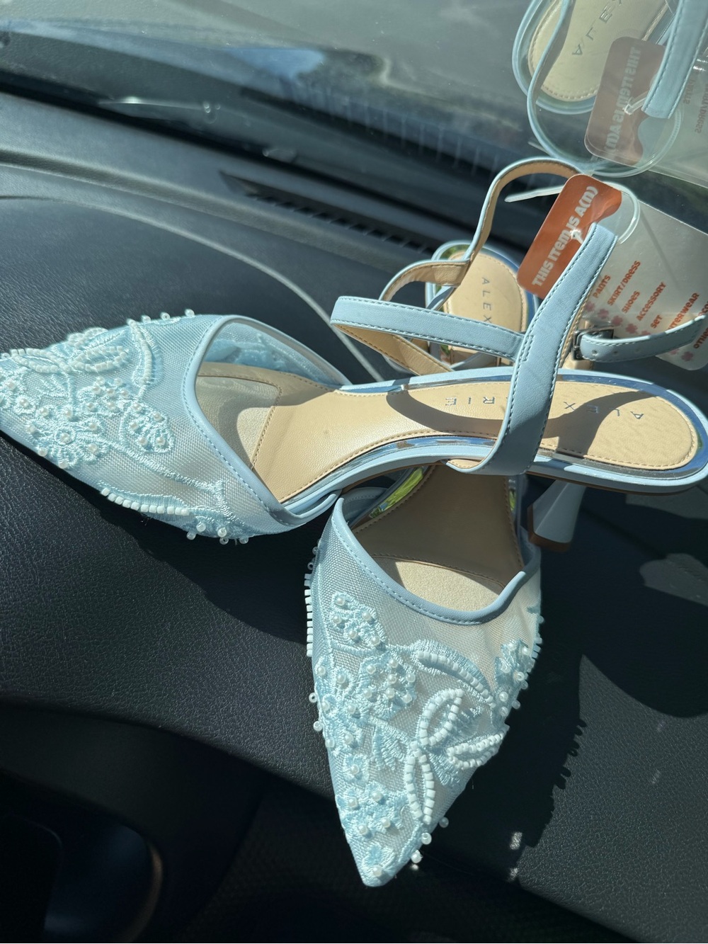 Alex Marie Alyssa Embroidered Mesh Slingback Work Pumps